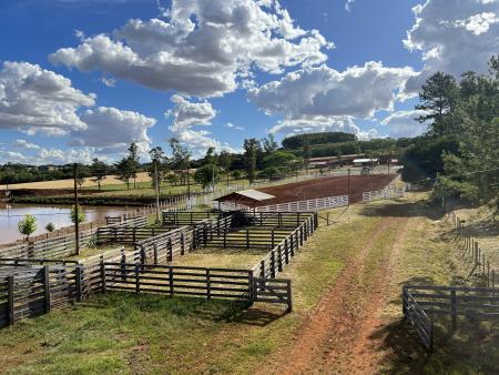Prefeitura investe em melhorias no Parque para a realização do Rodeio Crioulo Prefeitura investe em melhorias no Parque para a realização do Rodeio Crioulo